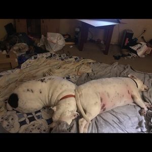 Meet your Posher, Autumn